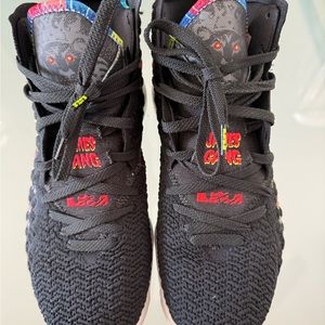 NIKE LEBRON 17th Signature James Gang Knitposite Shoes